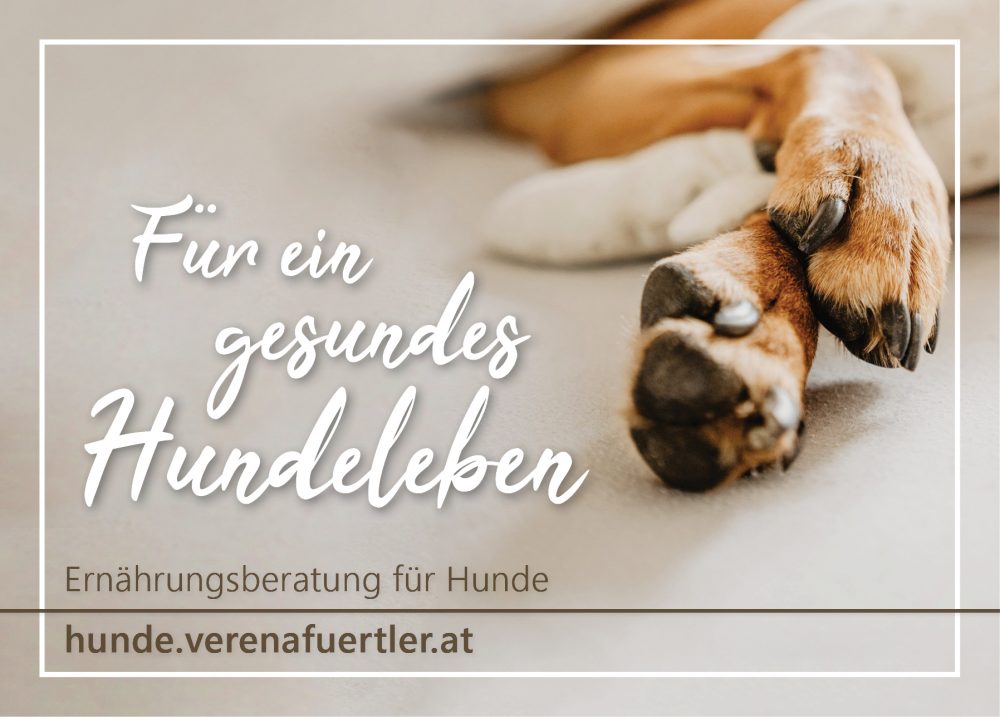Verena Fürtler Ernährungsberatung für Hunde Wien